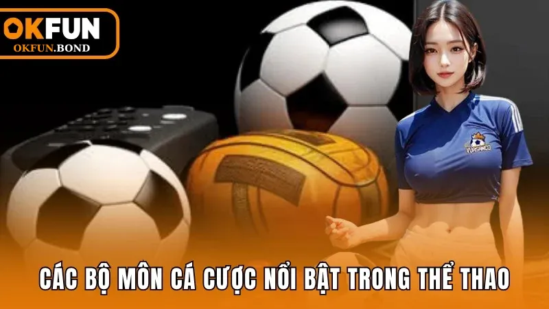 Các bộ môn cá cược nổi bật trong thể thao được nhiều người quan tâm