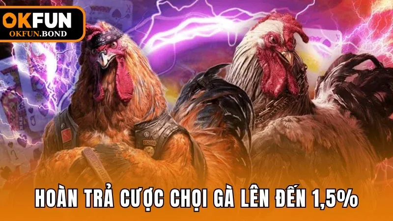 Hoàn trả cược chọi gà lên đến 1,5%