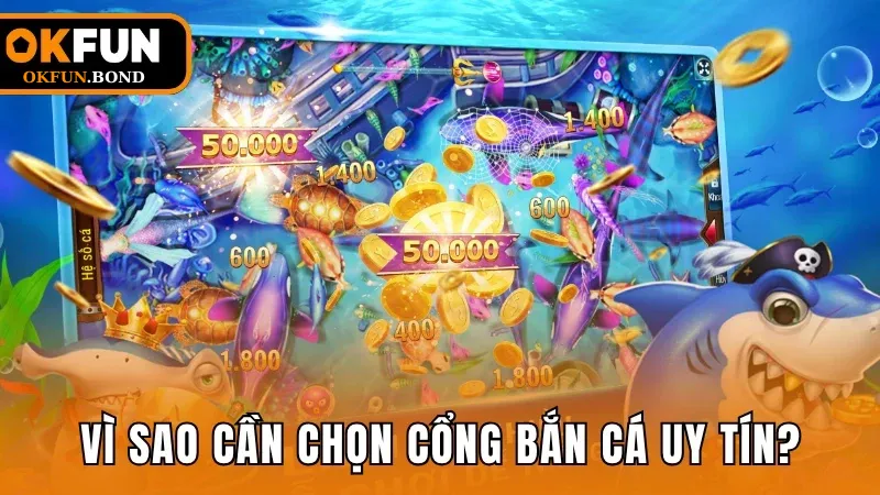Một số lý do người tham gia săn cá cần lựa chọn nền tảng uy tín