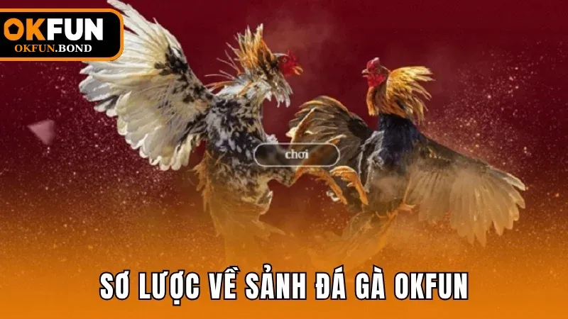 Sơ lược về sảnh đá gà trực tuyến tại OKFUN